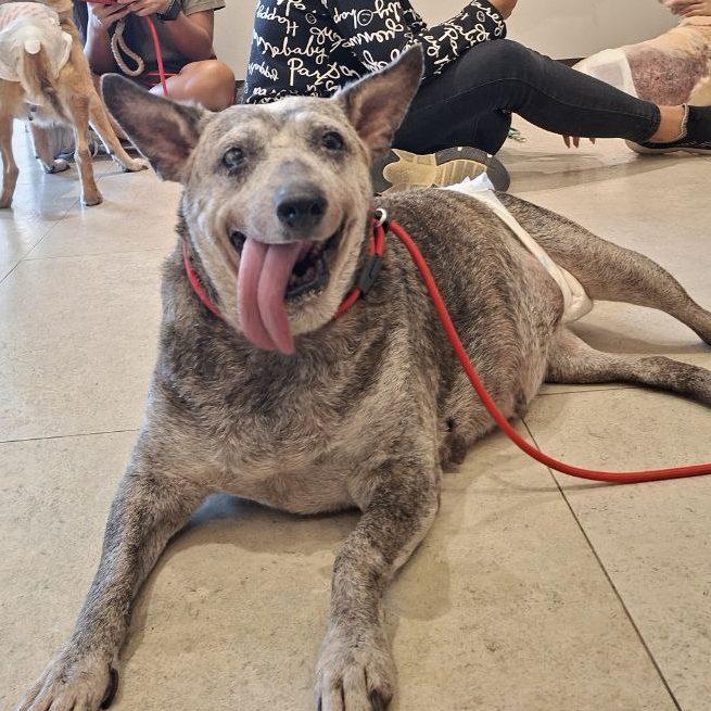 -6104698723503294877_121