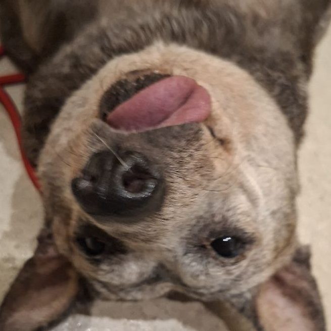 -6104698723503294921_121