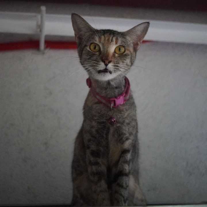 IMAGE 2025-08-21 01-35-40