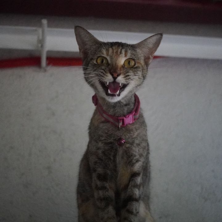 IMAGE 2025-08-21 01-35-44