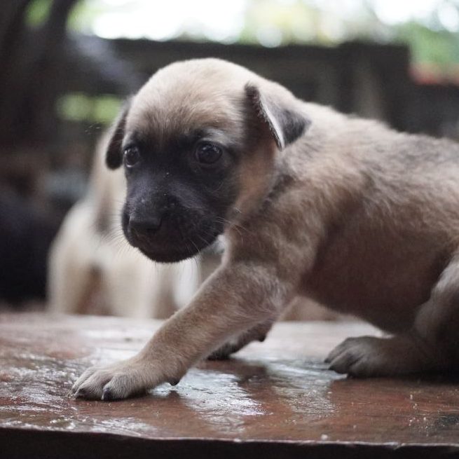 photo_2025-03-19_22-44-46