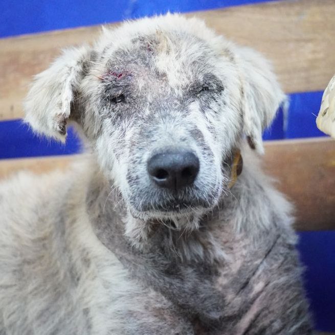 photo_2025-03-20_18-59-47