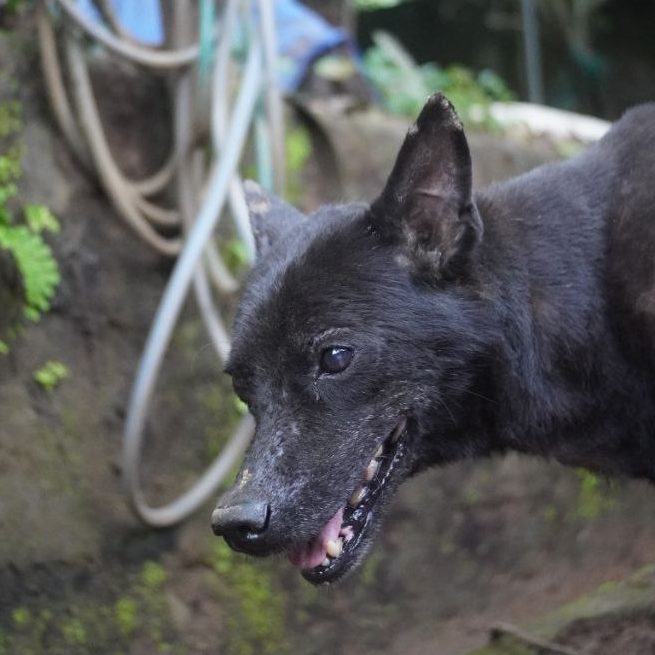 photo_2025-06-30_09-49-44 (3)