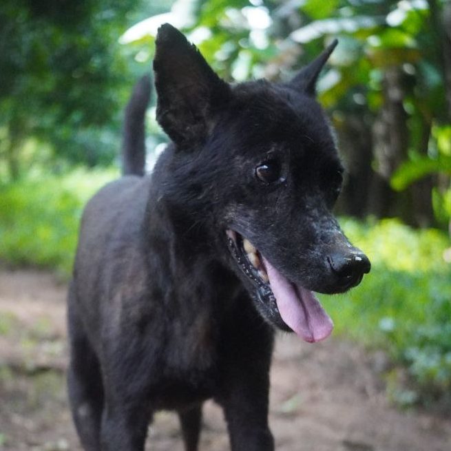 photo_2025-06-30_09-49-44