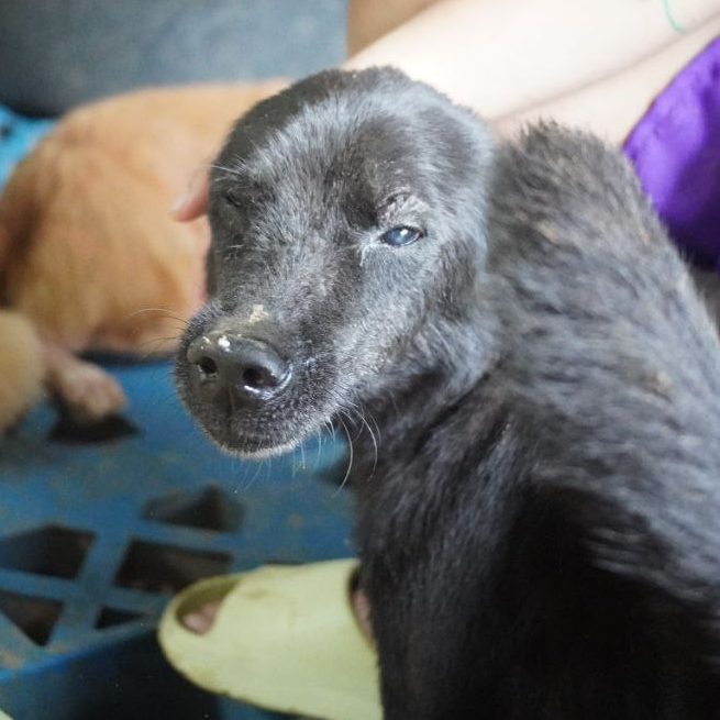 photo_2025-06-30_09-49-45 (2)