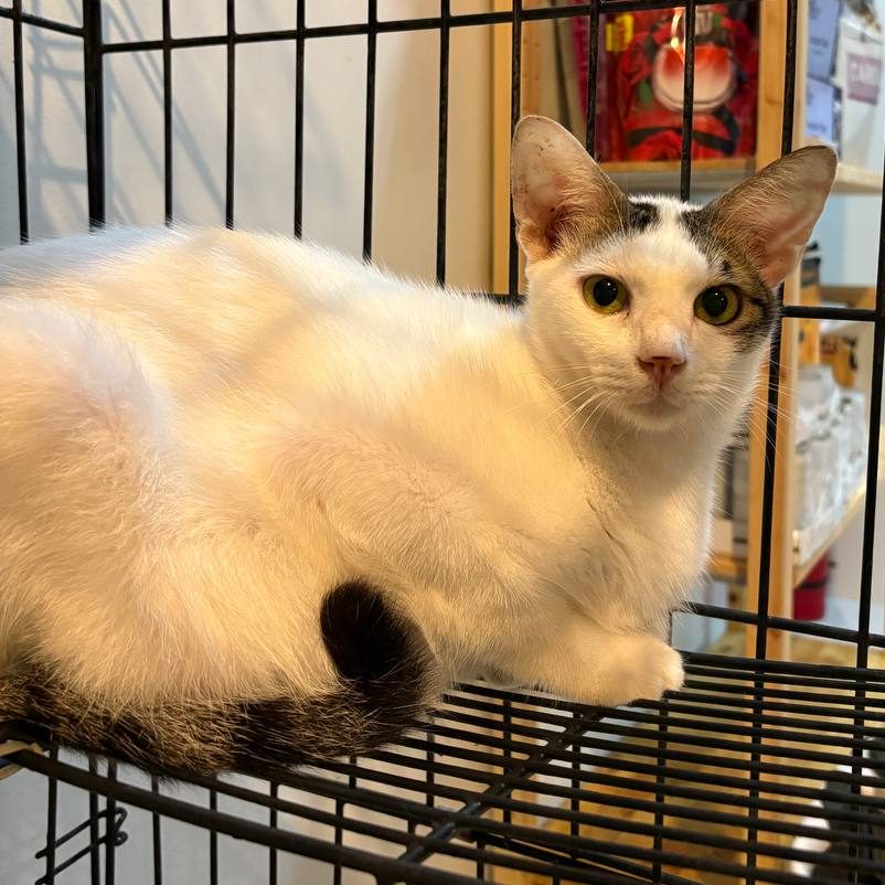 photo_2025-07-22_18-19-21