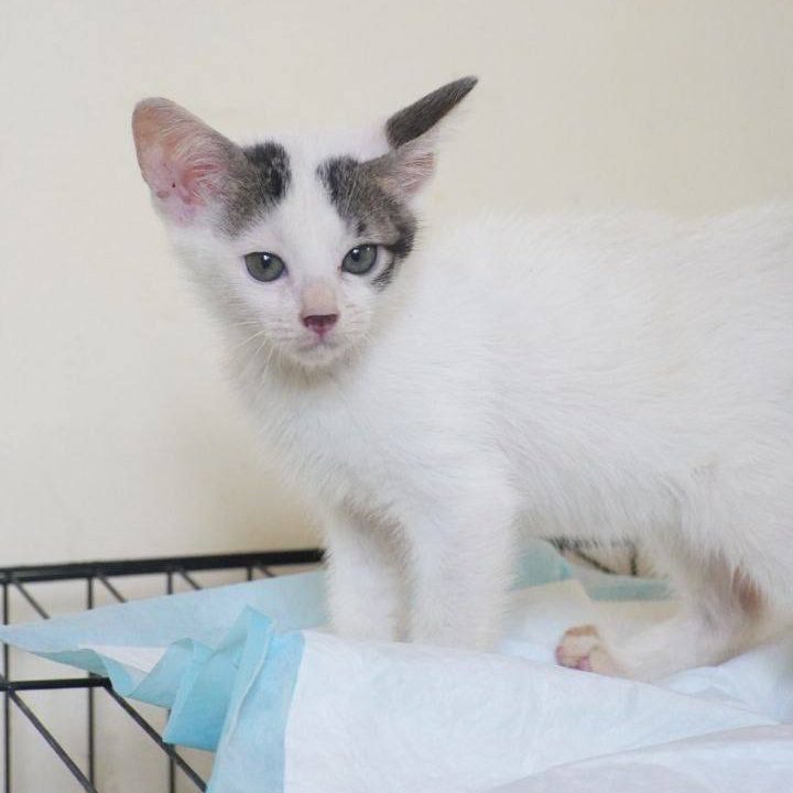 photo_2025-07-22_18-21-50