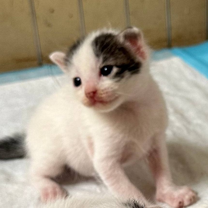 photo_2025-07-22_18-32-38