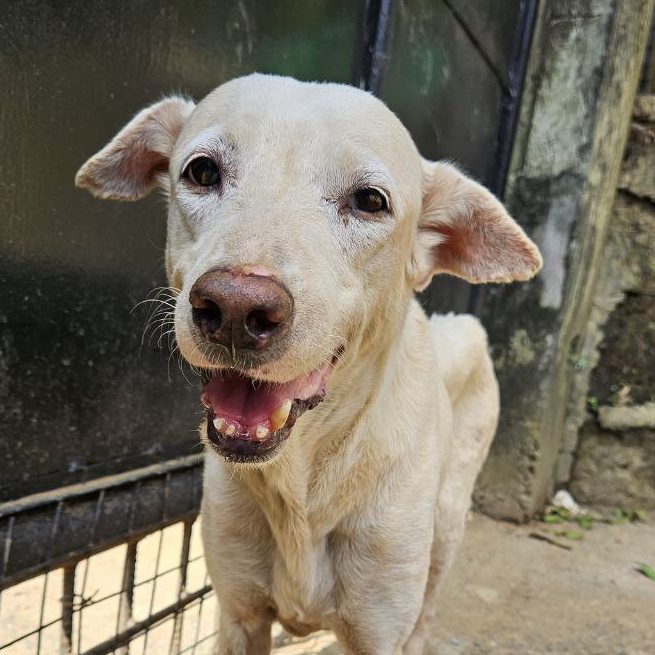 photo_2025-08-03_22-07-12 (2)