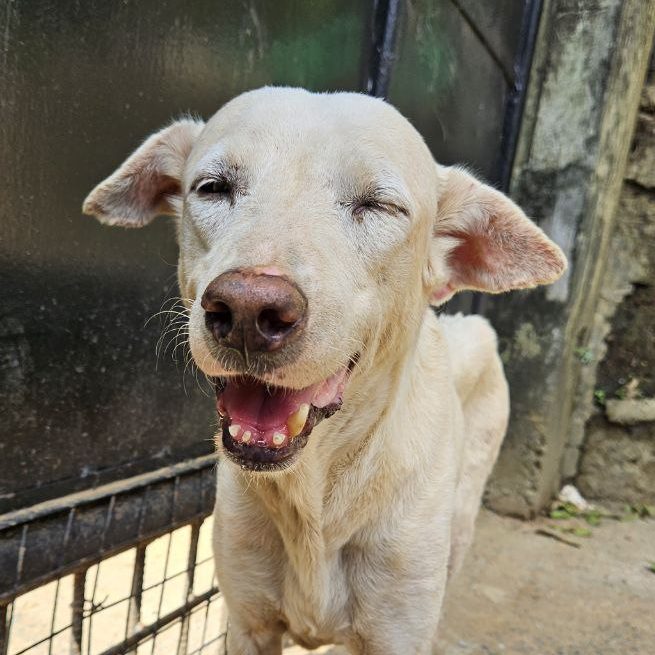 photo_2025-08-03_22-07-12