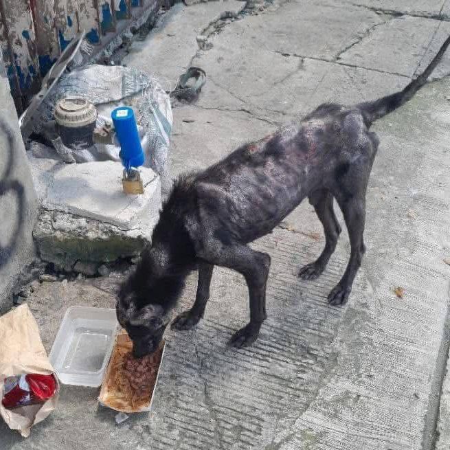 photo_2025-08-06_18-14-24