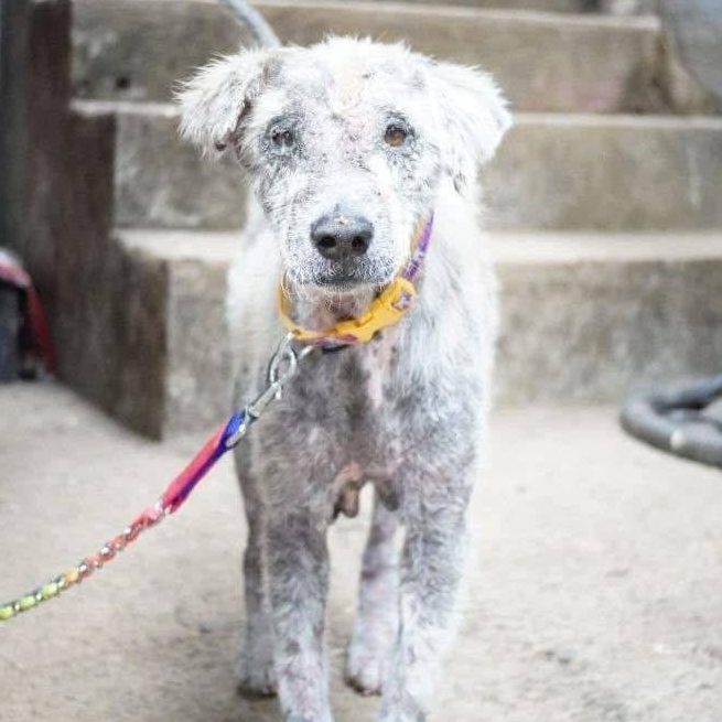 photo_2025-08-24_21-25-38