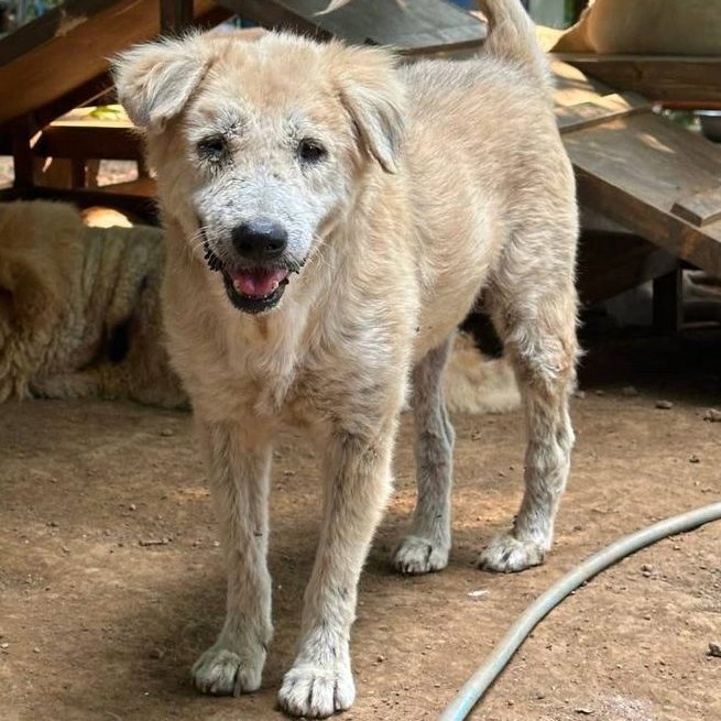 photo_2025-08-24_21-25-39