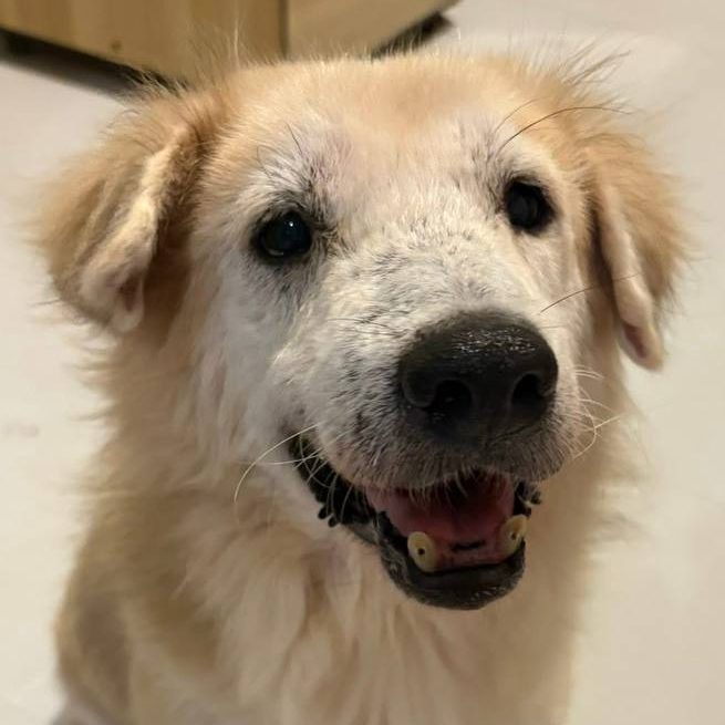 photo_2025-08-24_21-36-18